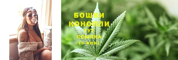 ГАЛЛЮЦИНОГЕННЫЕ ГРИБЫ Ладушкин
