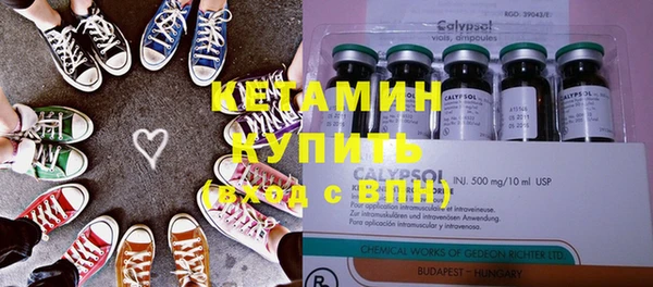 винт Лагань