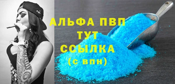 винт Лагань