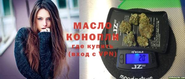 винт Лагань