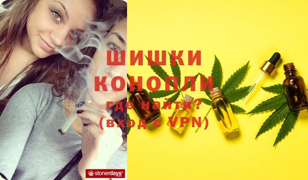 ГАЛЛЮЦИНОГЕННЫЕ ГРИБЫ Ладушкин
