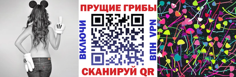 купить Петропавловск-Камчатский Галлюциногенные грибы Cubensis