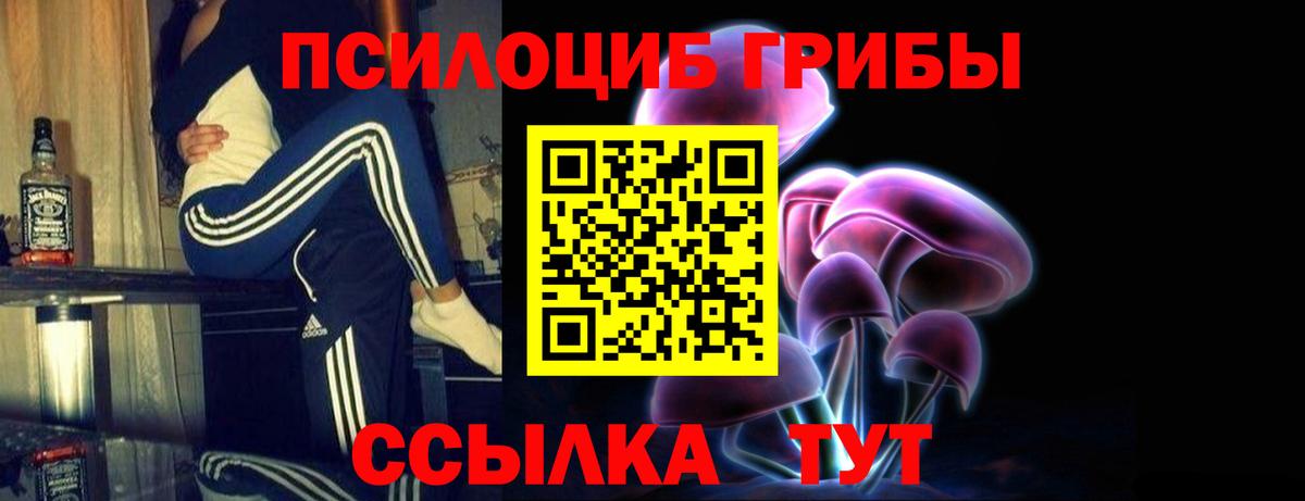 Галлюциногенные грибы Psilocybe Петропавловск-Камчатский