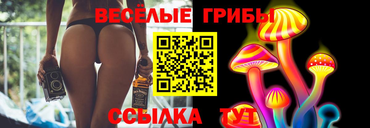 Петропавловск-Камчатский  Галлюциногенные грибы мицелий  Галлюциногенные грибы Psilocybine cubensis  где продают   Вход с VPN 