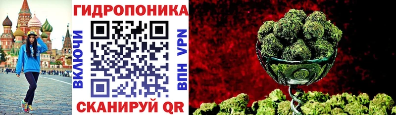 купить цена Петропавловск-Камчатский Шишки марихуана сатива